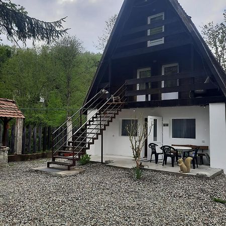 Cabanuta Dan & Alex Villa Cîrţişoara Екстериор снимка