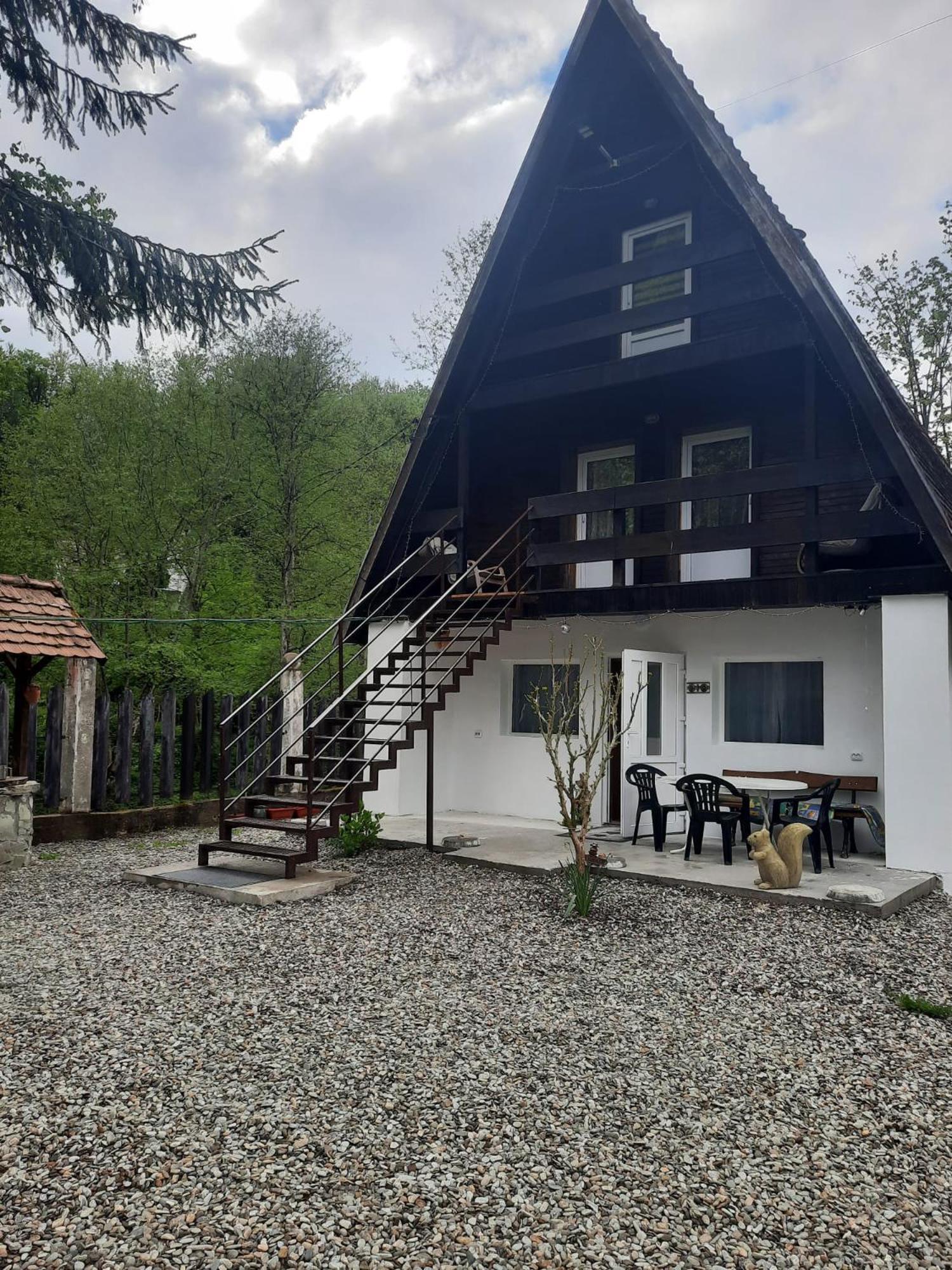 Cabanuta Dan & Alex Villa Cîrţişoara Екстериор снимка