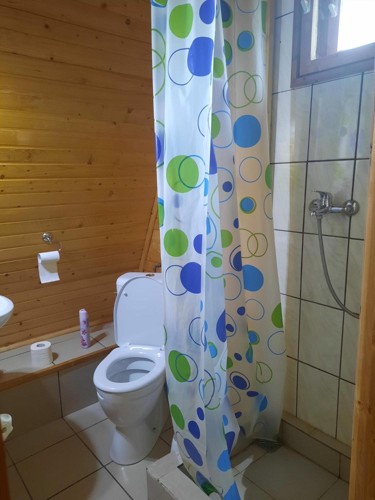 Cabanuta Dan & Alex Villa Cîrţişoara Екстериор снимка