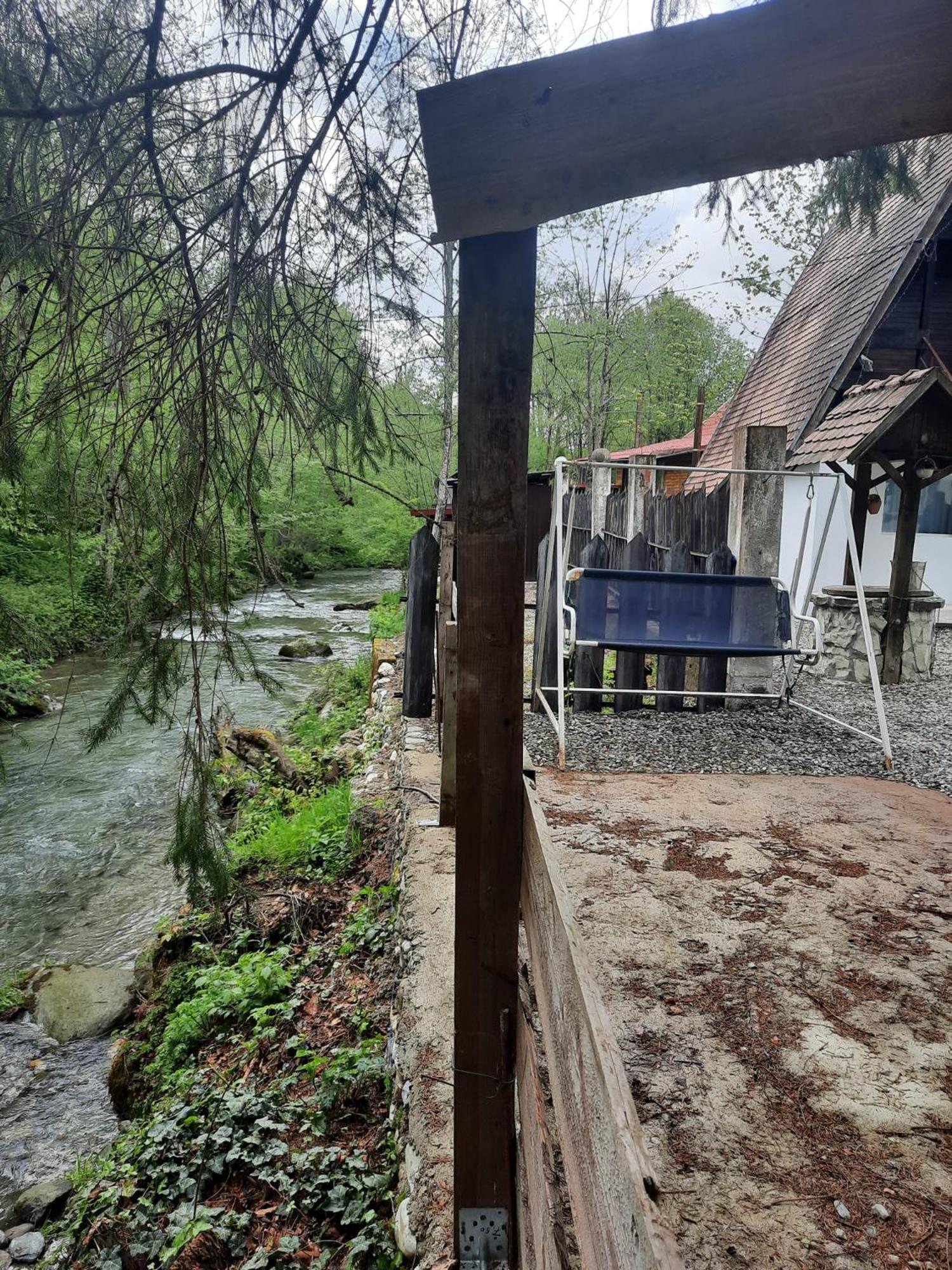 Cabanuta Dan & Alex Villa Cîrţişoara Екстериор снимка